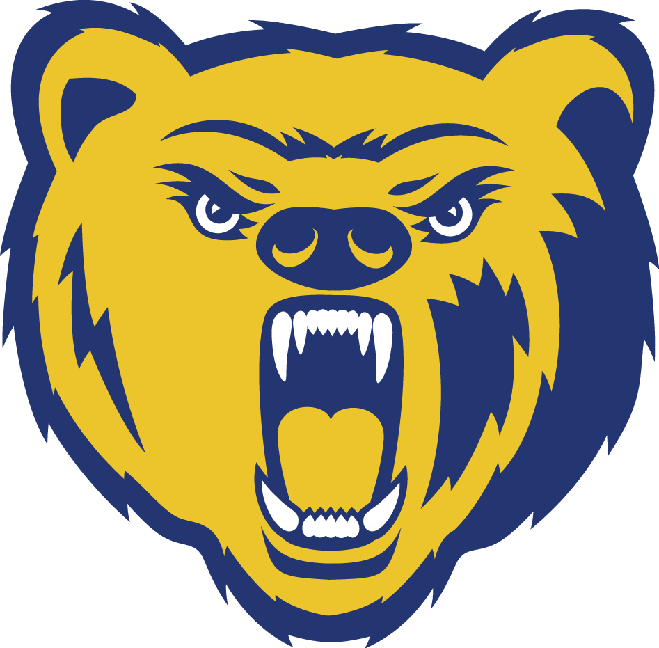 Northern Colorado Bears 2004-2009 Secondary Logo diy DTF decal sticker